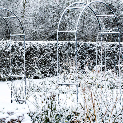 Enjoy your Winter Backyard: Embrace the Season’s Beauty