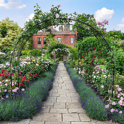 Rose Garden Ideas