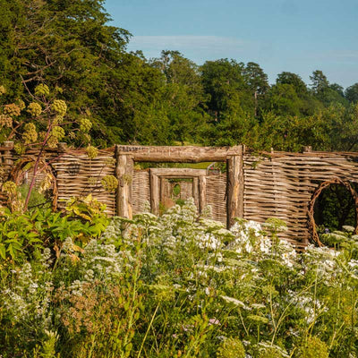 Spring is All About Colour: Transform Your Garden with Vibrant Planting