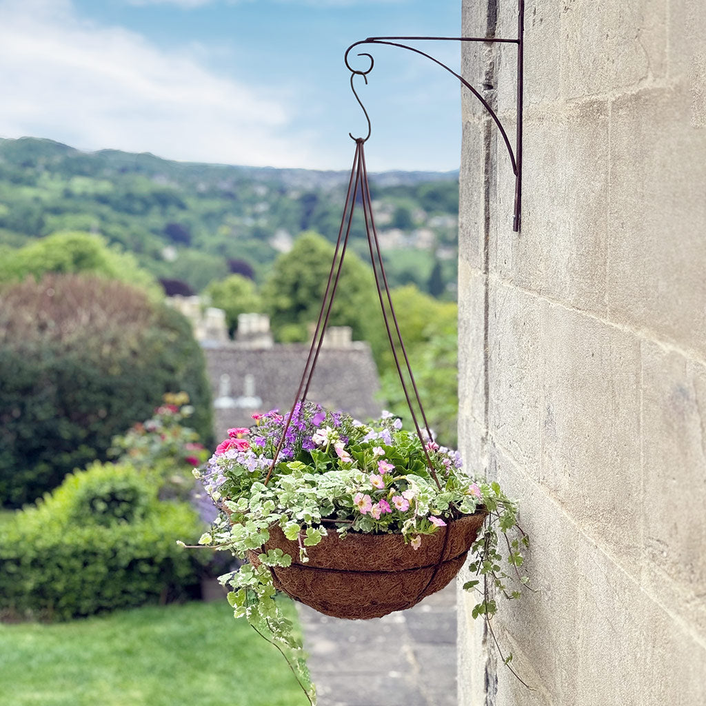 Hanging Baskets