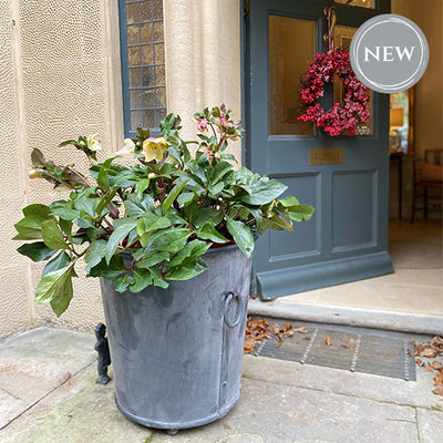 classic tuscan aged planter on doorstop