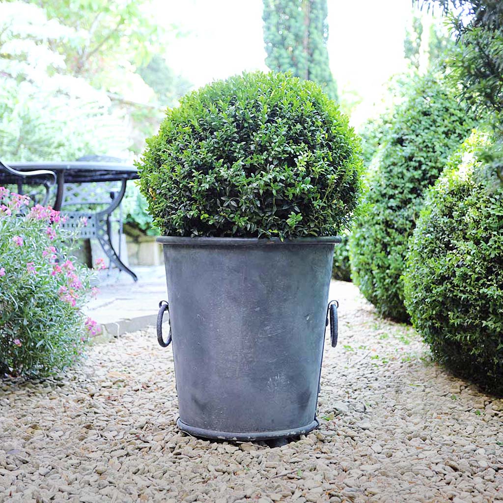 Classic Zinc Planter Lifestyle