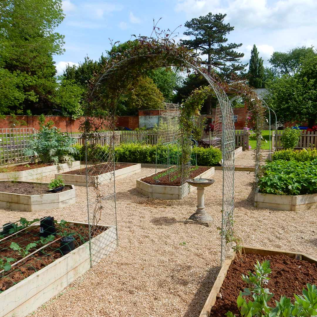 metal arch structures in garden