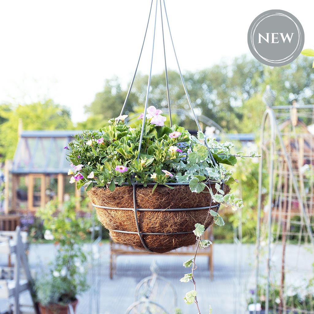 hanging basket with flowers