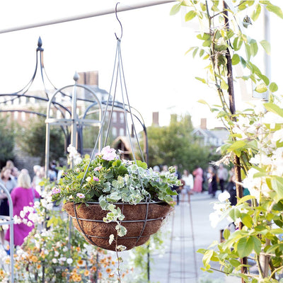 Elegance Hanging Basket - Small 30cm