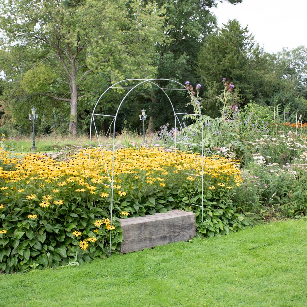 metal garden arch with yellow flowers