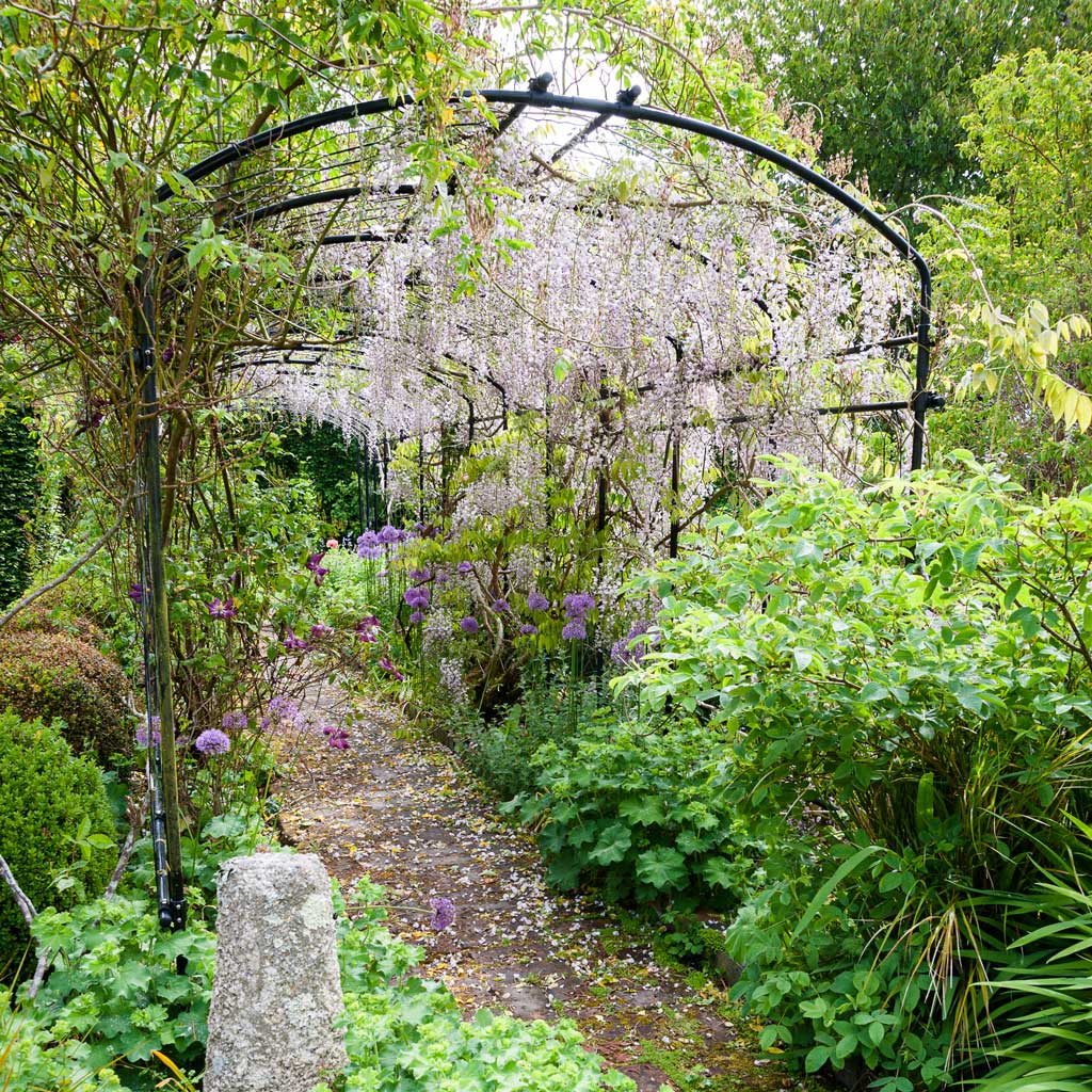 Monet pergola over a rustic stone path, with lilac wisteria cascading overhead