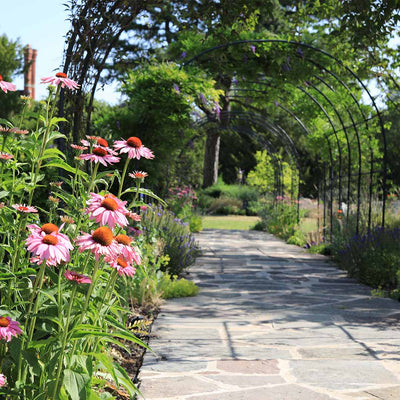 Round pergola over stone path with pink flowers in foreground