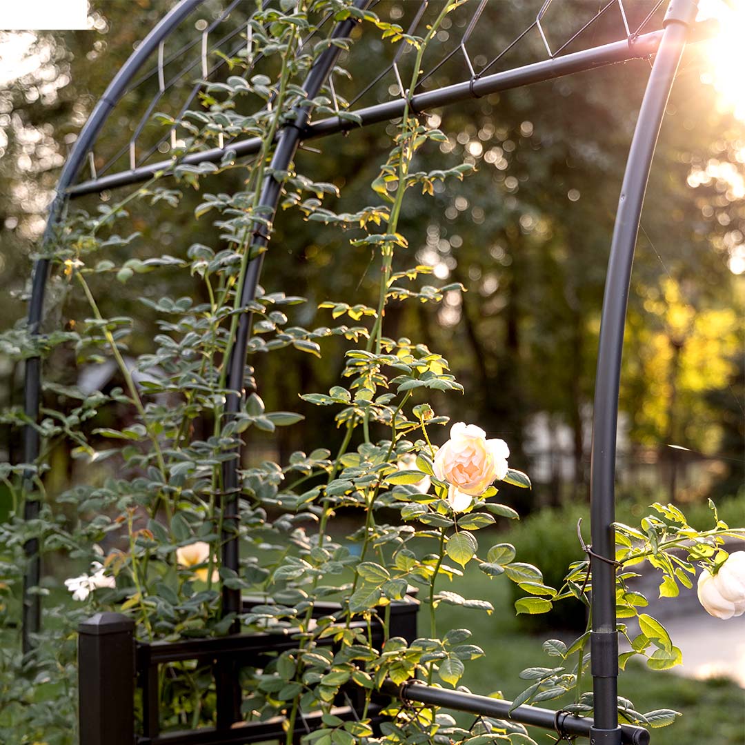 Round Pergola