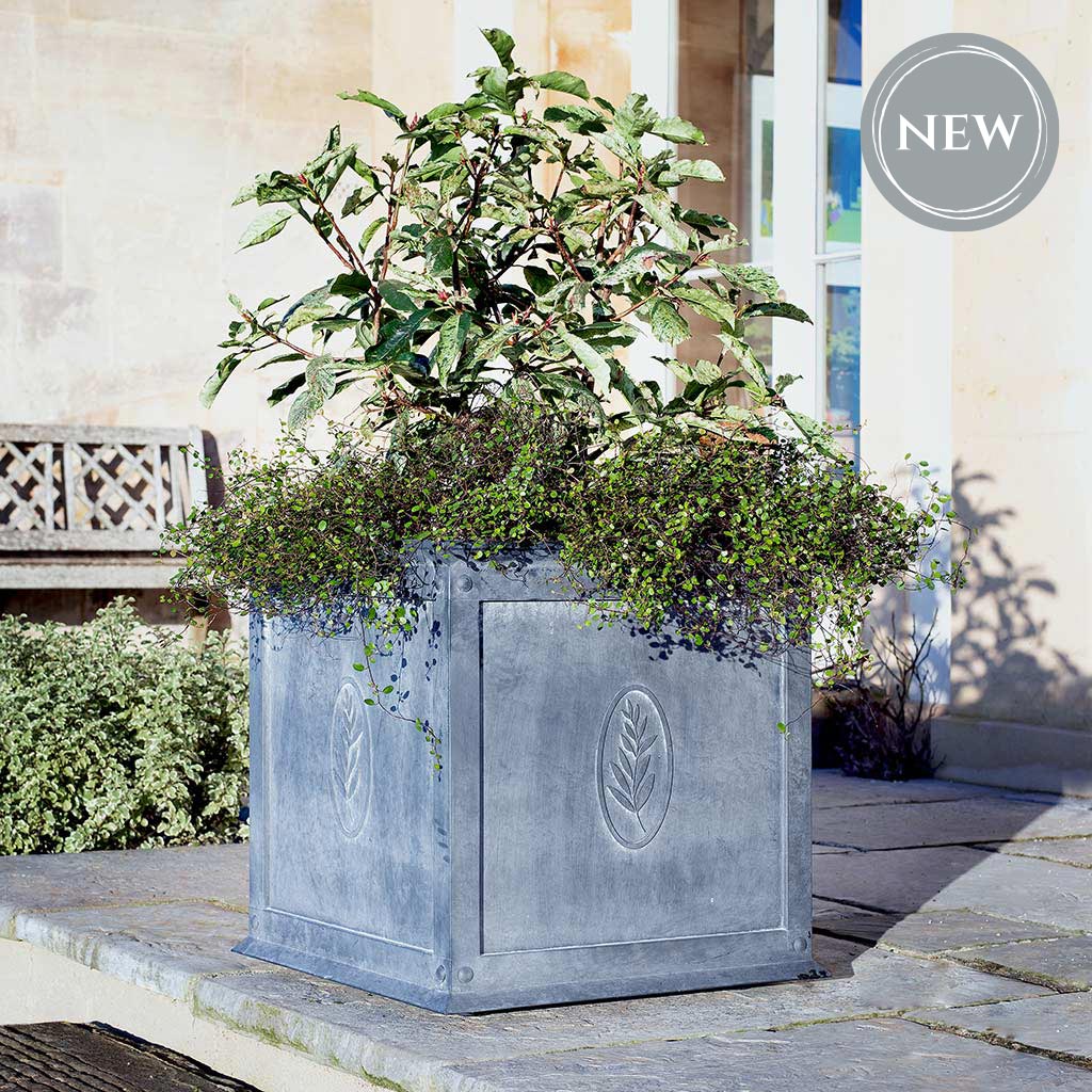 Tuscan Zinc Planter with Olive Leaf Design