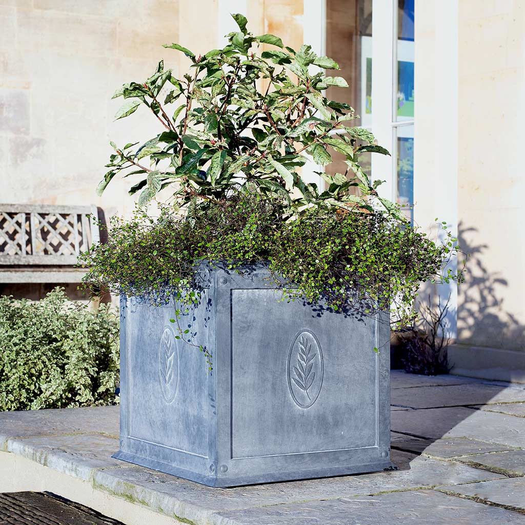 a zince planter with plants