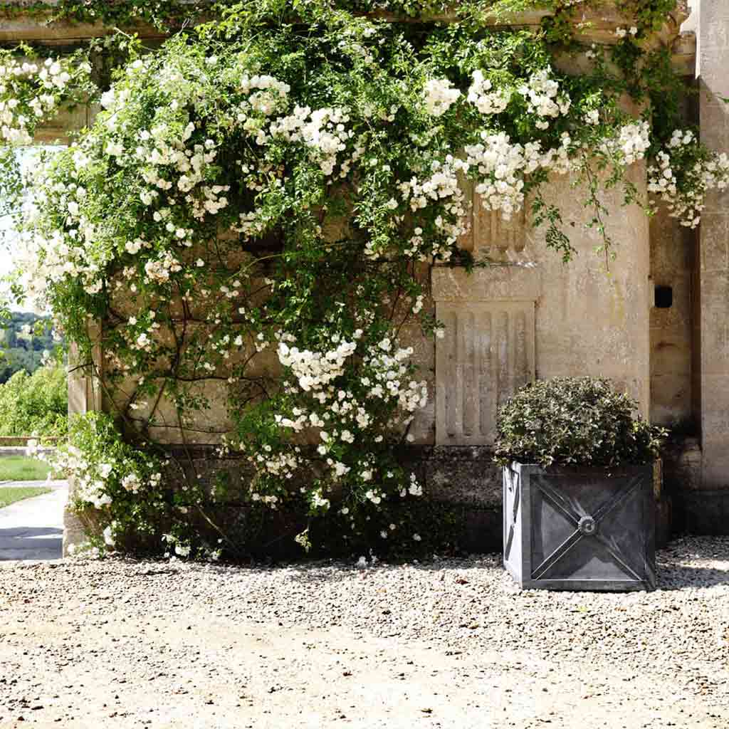 Regency Zinc Planter-in use wide - agriframes