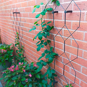 Wall Trellis Panels