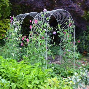 Elegance round arch with growing flowers on